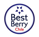 Best Berry Chile