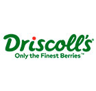 Driscoll's